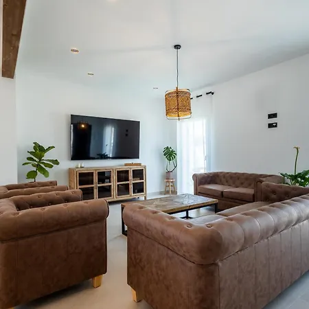 Mi Lola تورّيفيِخا