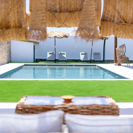 Mi Lola تورّيفيِخا